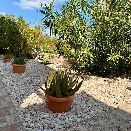 Vista Natura 빌라 *