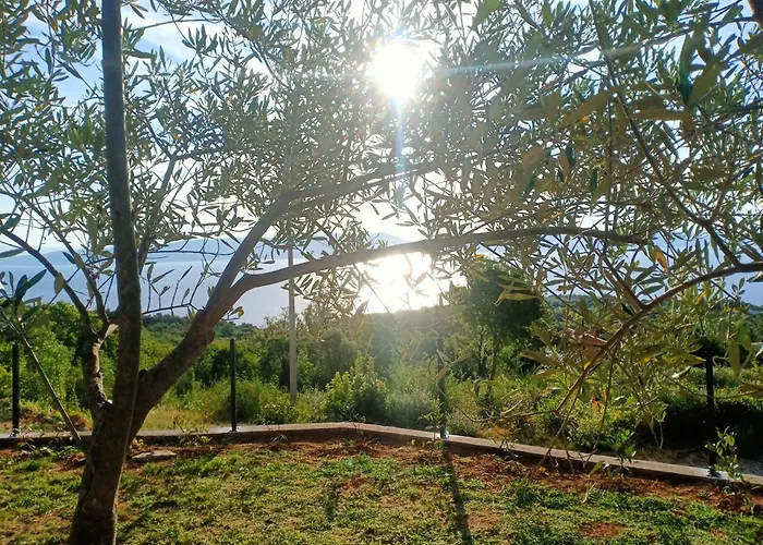 빌라 Vista Natura *