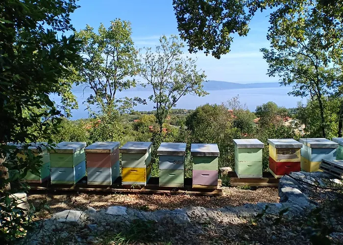 Vista Natura * 라빈